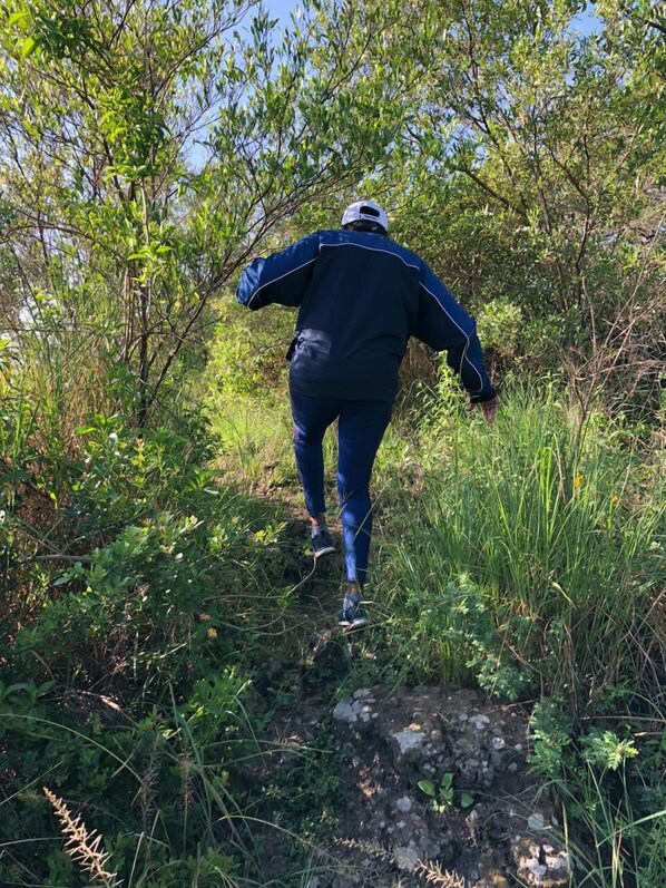 A person walking on a narrow, rocky path surrounded by dense greenery. - Rock Hyrax Hotel (Nakuru)