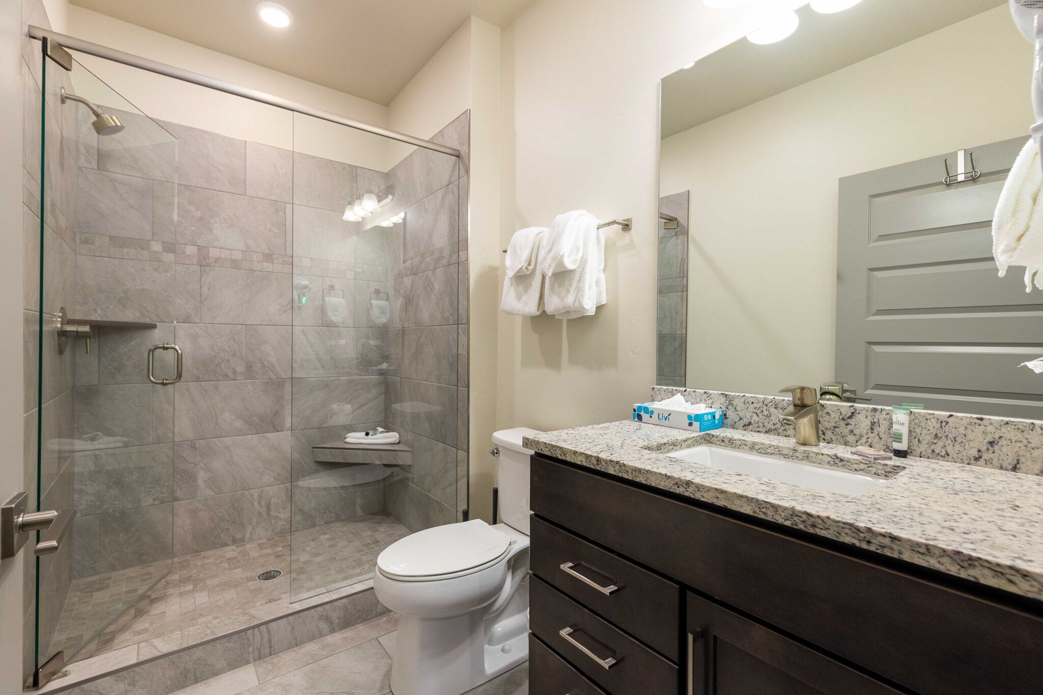 A modern bathroom with a glass-enclosed shower, a toilet, a vanity with a sink, and a large mirror.