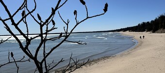 Cozy cottage tucked in the woods. 5 minutes from Cave Point and Whitefish Dunes.