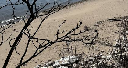 Cozy cottage tucked in the woods. 5 minutes from Cave Point and Whitefish Dunes.