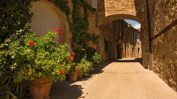 A narrow cobblestone street flanked by stone buildings with arched doorways and potted plants with red flowers. - Da Maria (Murlo)