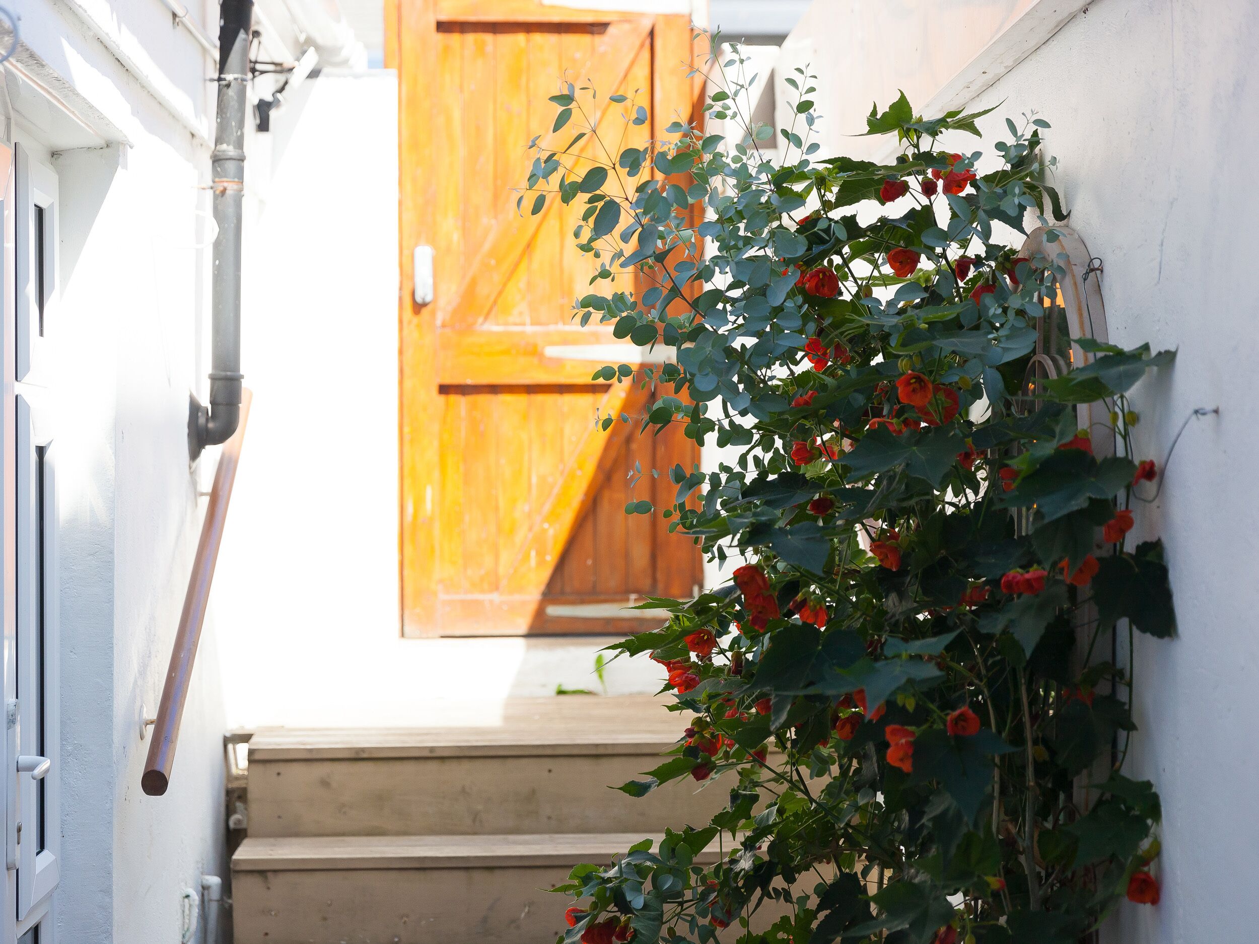 บริเวณที่พัก