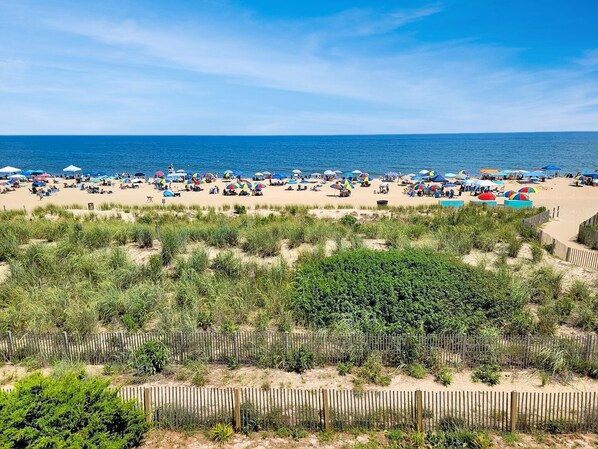 A beach with numerous umbrellas and people.