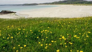 Une plage avec une étendue d’herbe au premier plan et des collines à l’horizon.