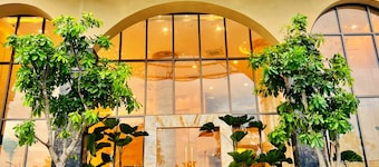 Mai Vy Hotel Tay Ninh