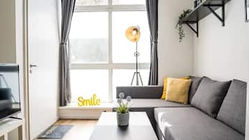 Flachbildfernseher, Arbeitsbereiche