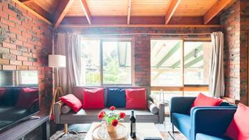 Smart TV, video games, books