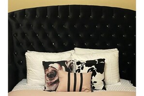 Room - Executive Gateway (Goodyear)