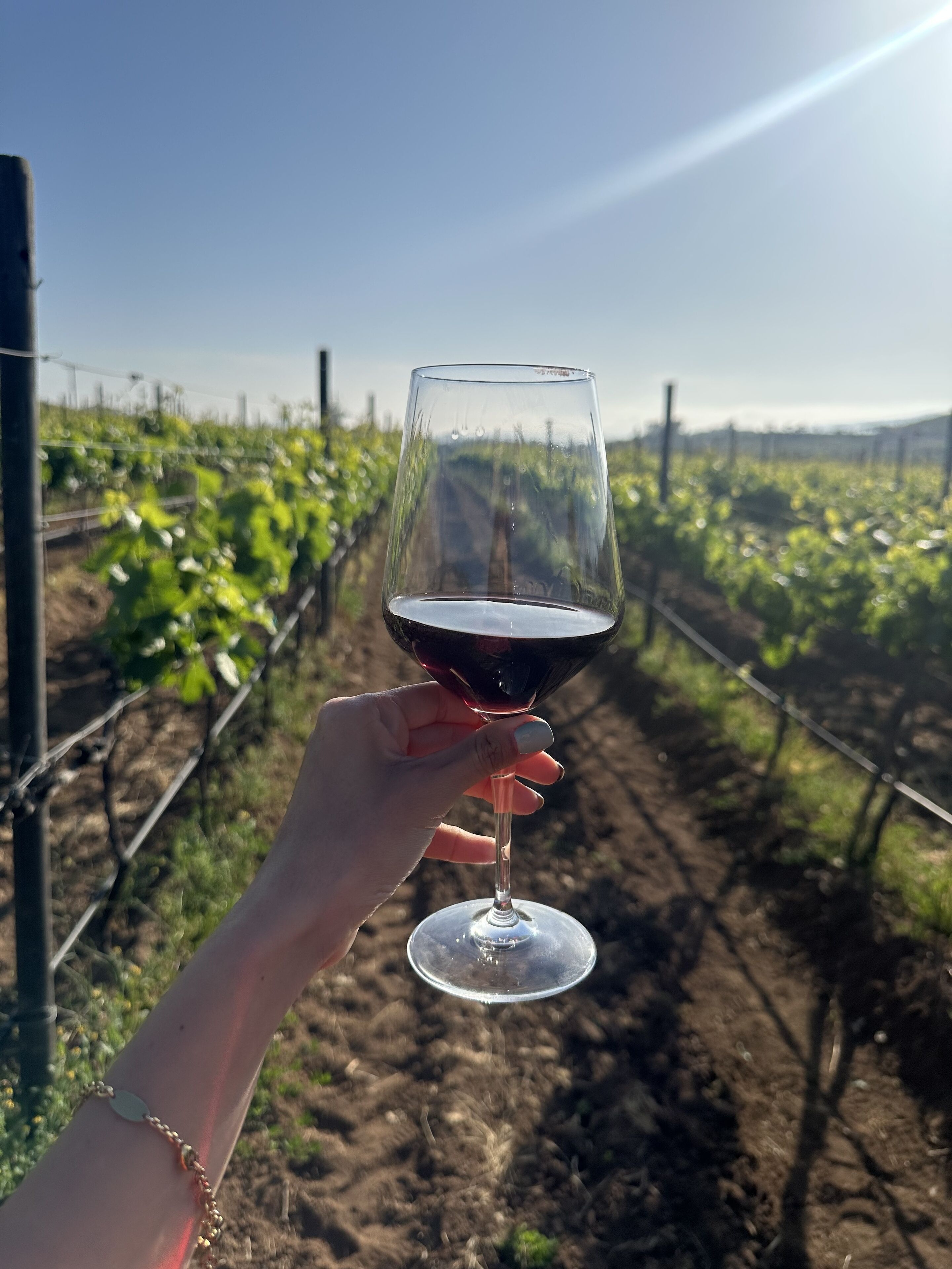 Una mano sosteniendo una copa de vino, con un viñedo al fondo.