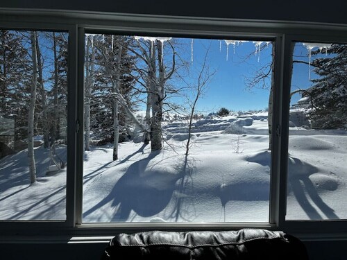 Wooded Yard! Ideal Beach Access! Great View of Bear Lake!