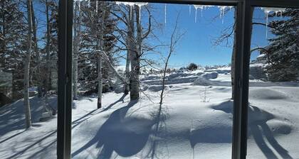 Wooded Yard! Ideal Beach Access! Great View of Bear Lake!