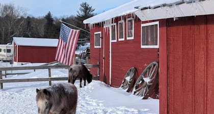 Giant Bell Tent on Working Ranch