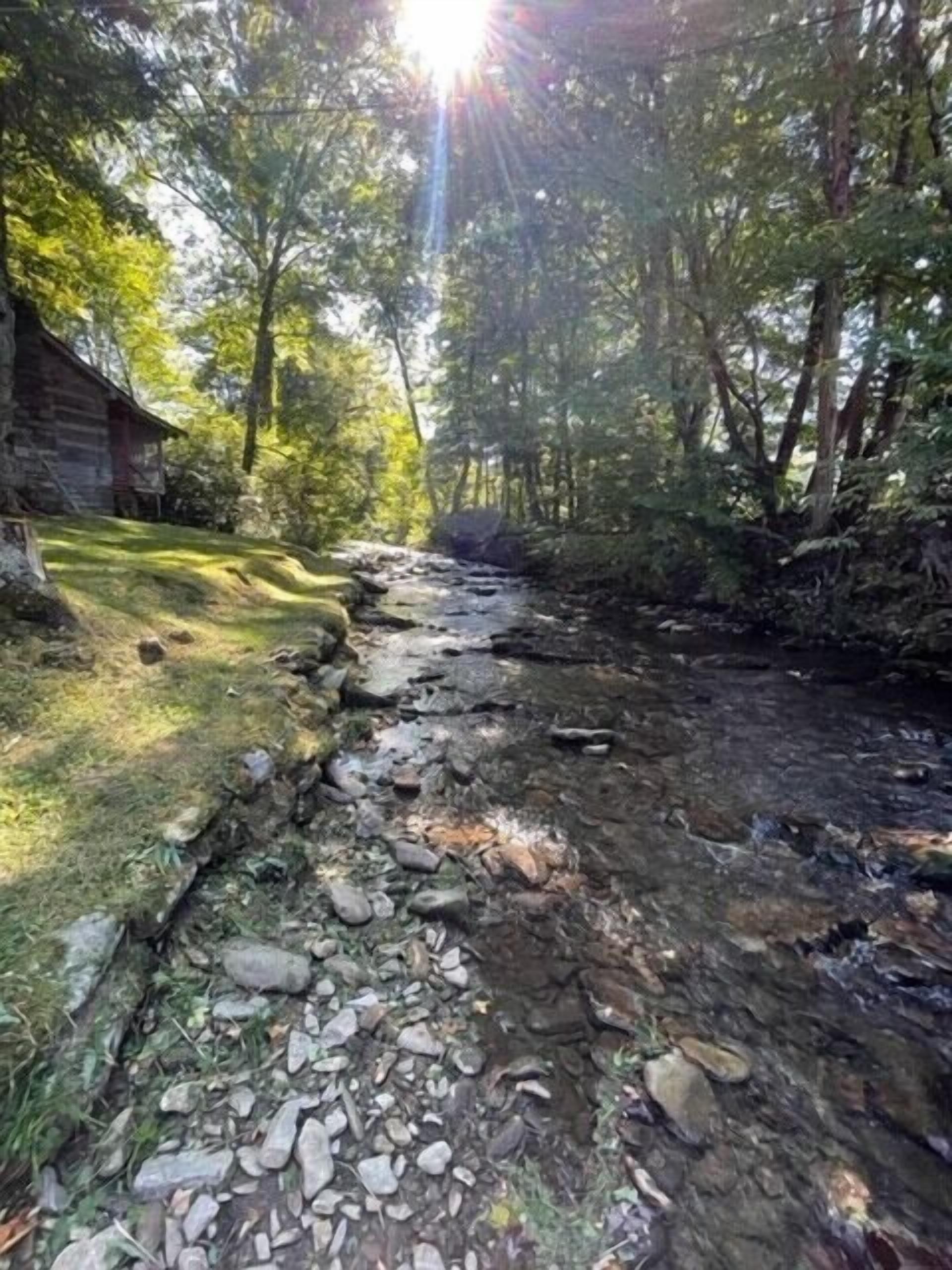 A natural outdoor setting with a stream, rocks, and a wooden cabin.