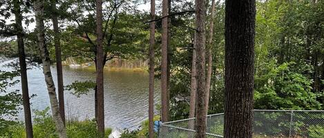 A forested area with a lake, a chain-link fence, and a boat dock.