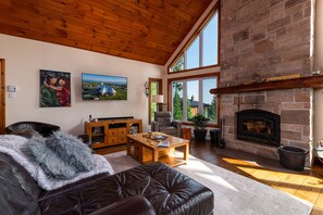 Smart TV, fireplace, books