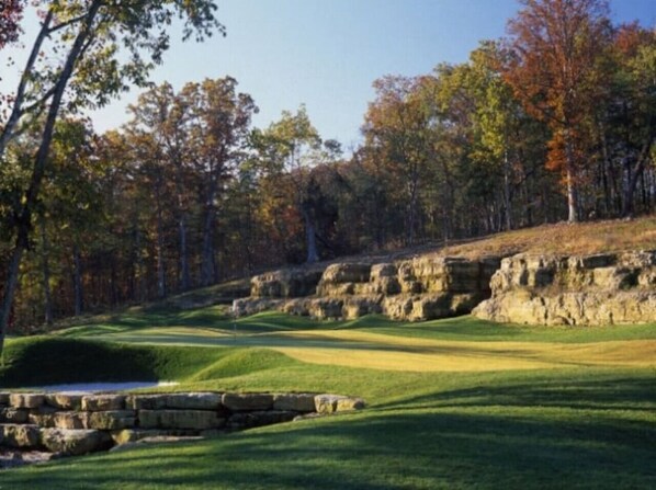 Golf - Two Bedroom Villa in the Heart of Branson! (Branson)