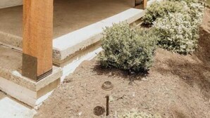 Un porche cubierto con vigas de madera, suelo de hormigón y un pequeño jardín con arbustos.