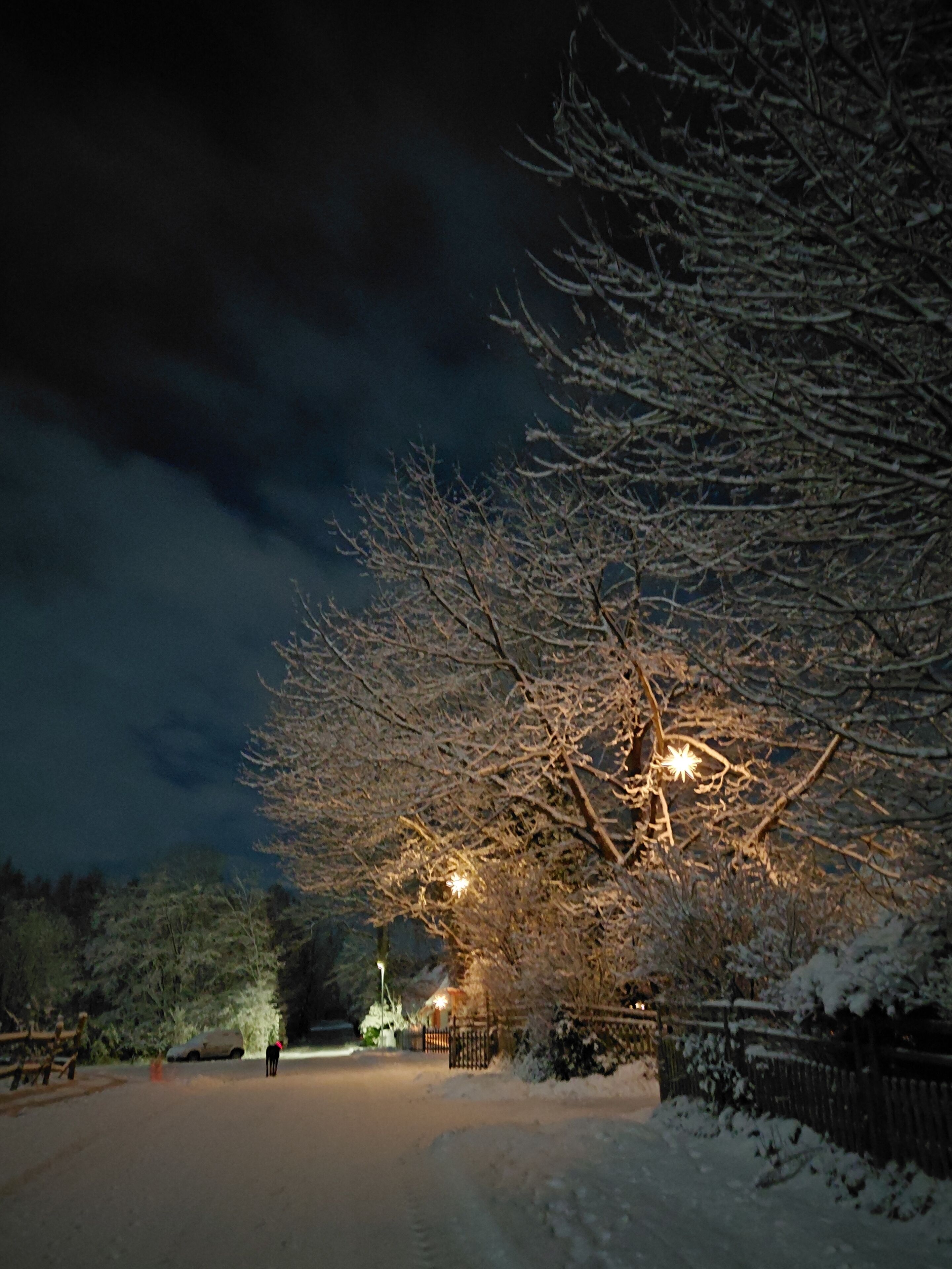 Ein verschneiter Park bei Nacht mit kahl stehenden Bäumen und einem asphaltierten Weg.