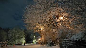 Ein verschneiter Park bei Nacht mit kahl stehenden Bäumen und einem asphaltierten Weg.