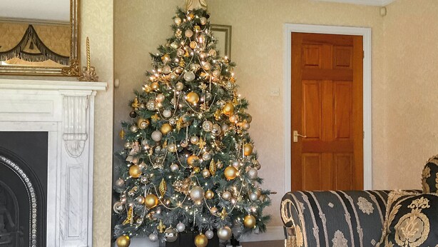 Un soggiorno con un albero di Natale addobbato, un camino e una porta.
