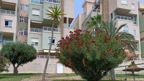 A landscaped area with stone steps, a palm tree, and a bush with red flowers. - Apartment with mountain and sea views, parking (Cabo de Palos)