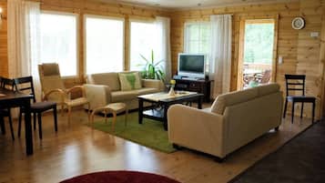 Televisio, takka, työhuone