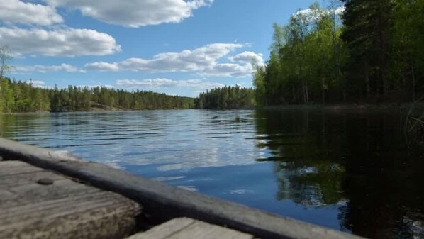 Sekalaista