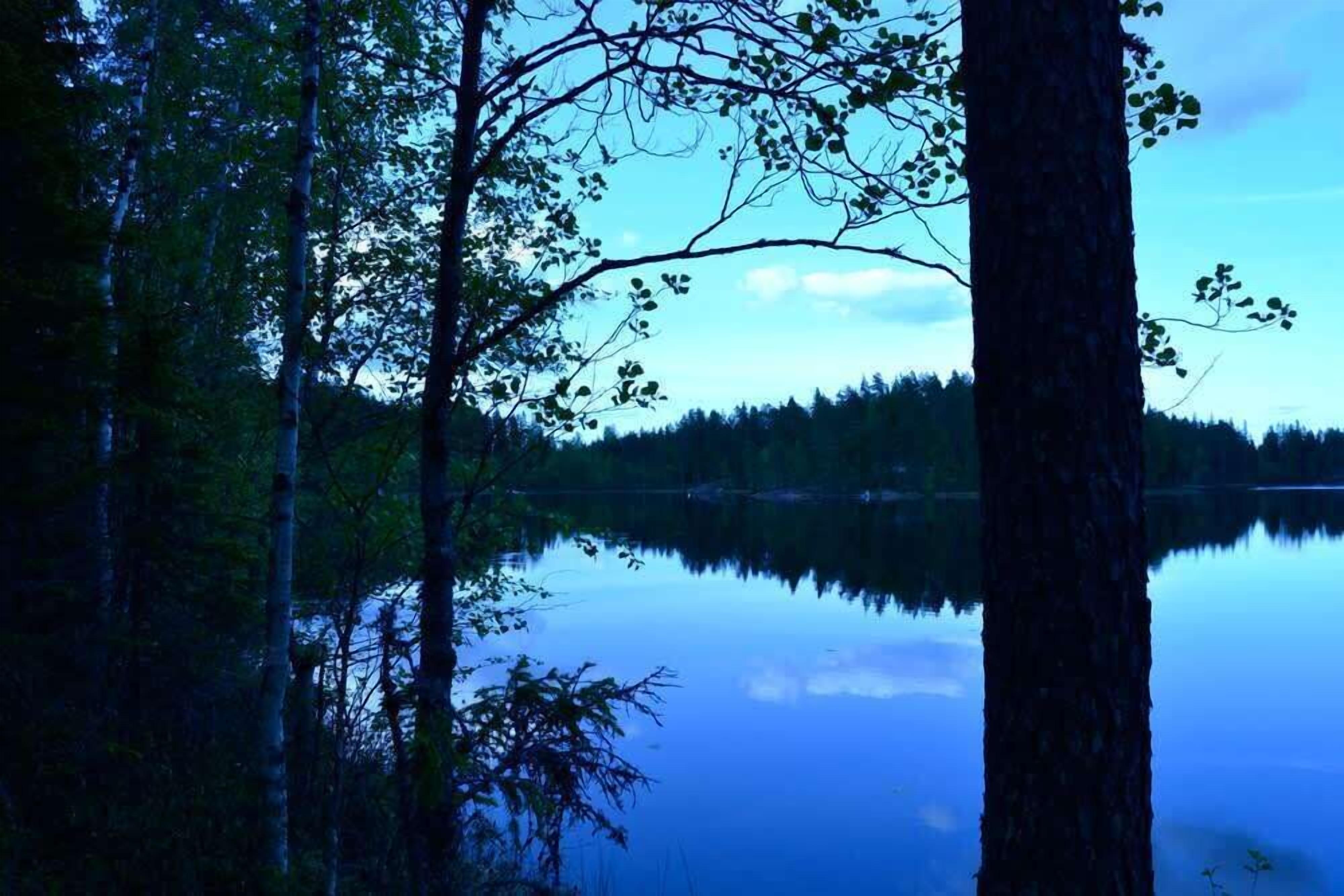 A serene lake surrounded by tall trees.
