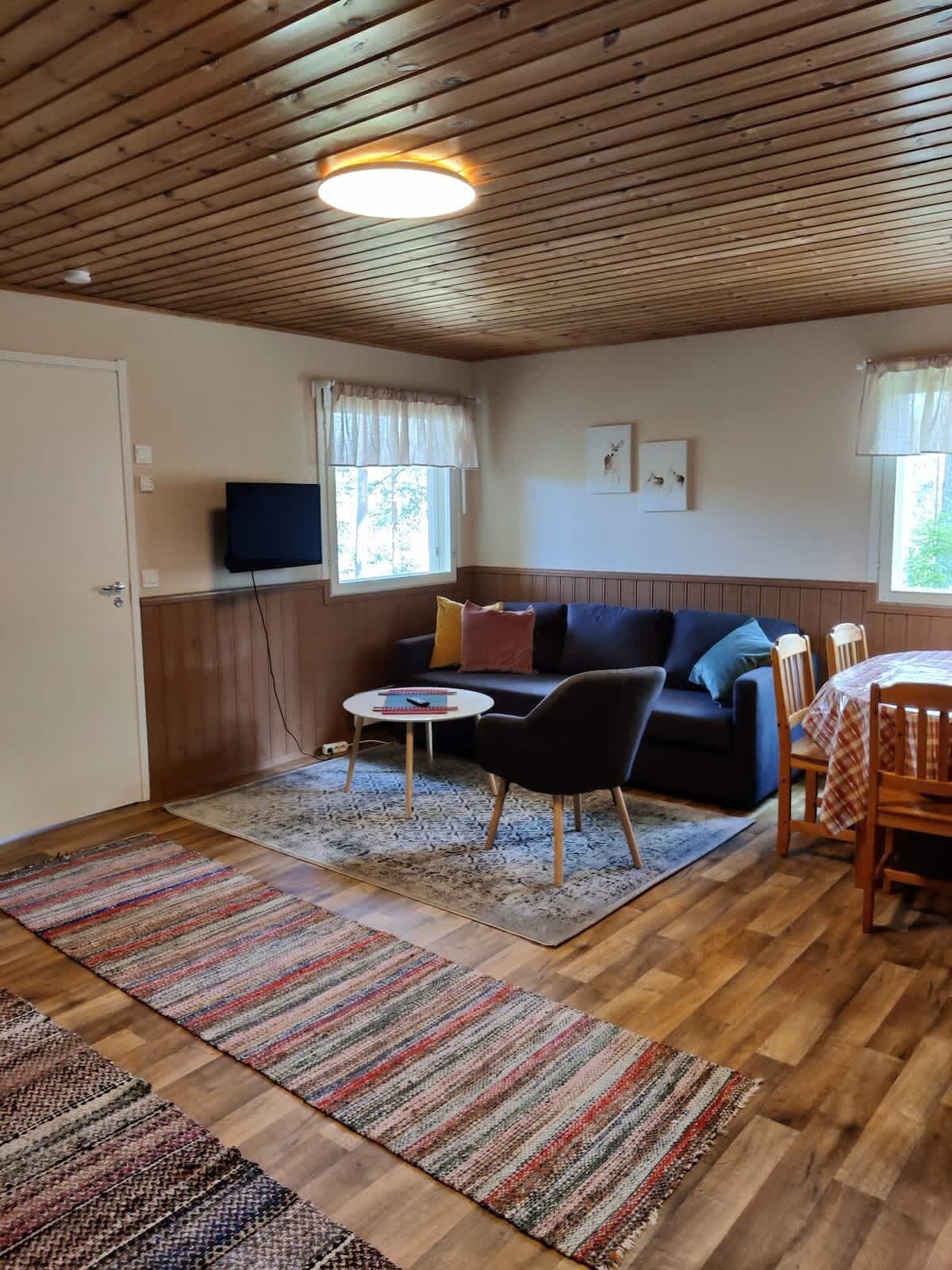 Fernseher, Kamin, Arbeitsbereiche