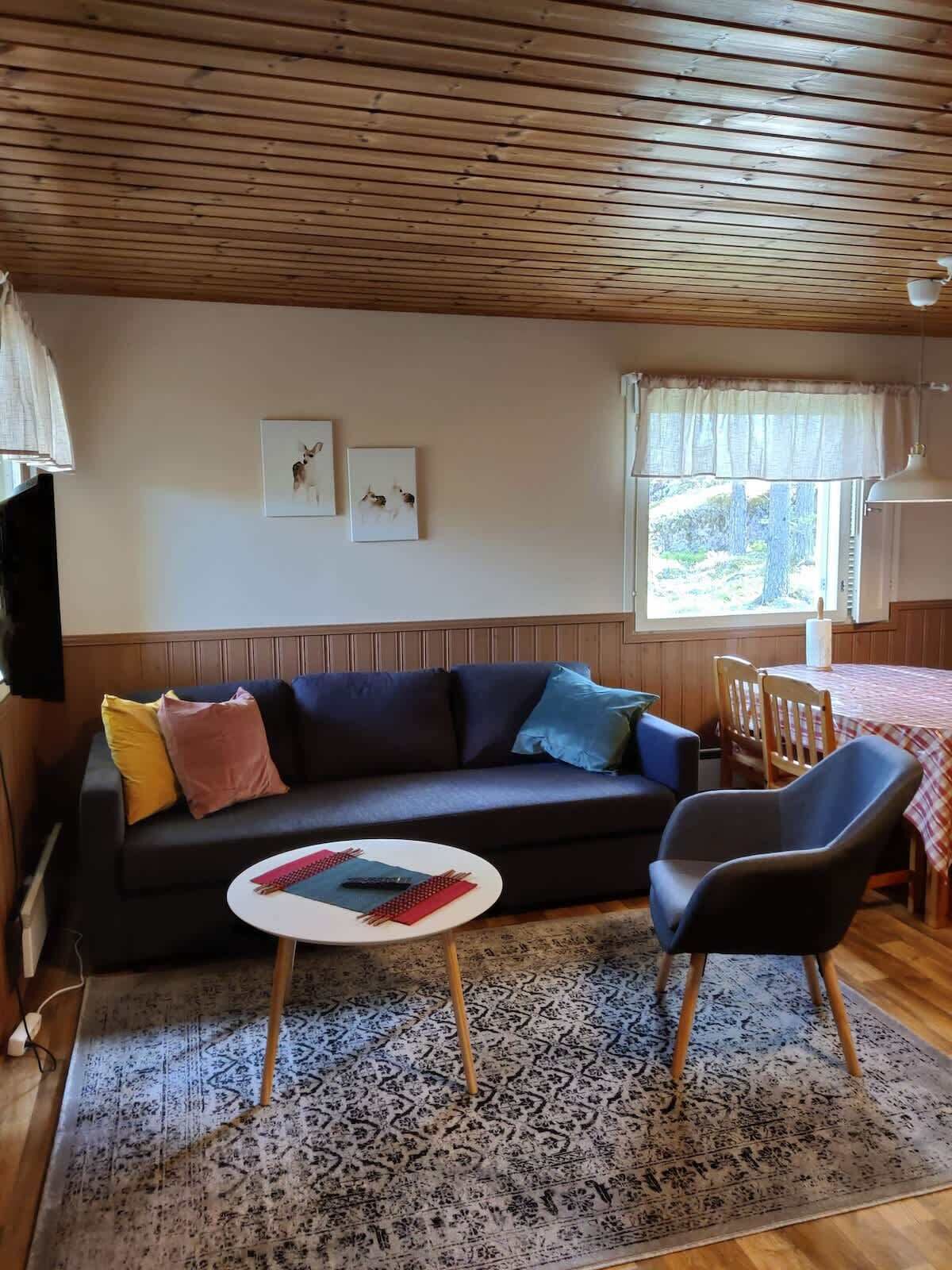 Televisio, takka, työhuone
