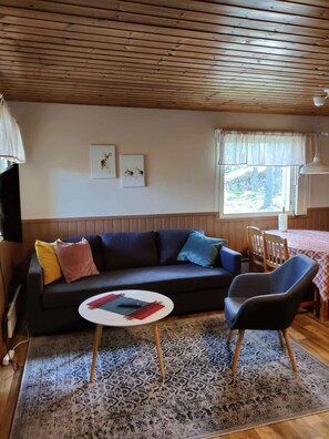 TV, fireplace, offices - Silent, private cottage by lake,  sauna and boat (Orivesi)