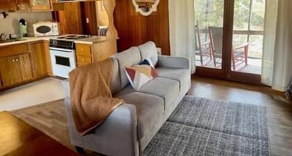 Cabin 3 with beautiful view of Campbell Creek, 2 Bedroom 1 Bath