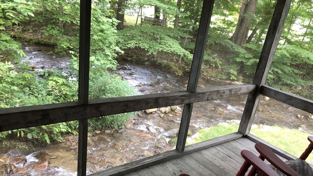 Une terrasse en bois offrant une vue sur un ruisseau sinueux, le tout entouré d’une végétation luxuriante.
