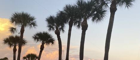 Een buitenzwembad en een verwarmd zwembad