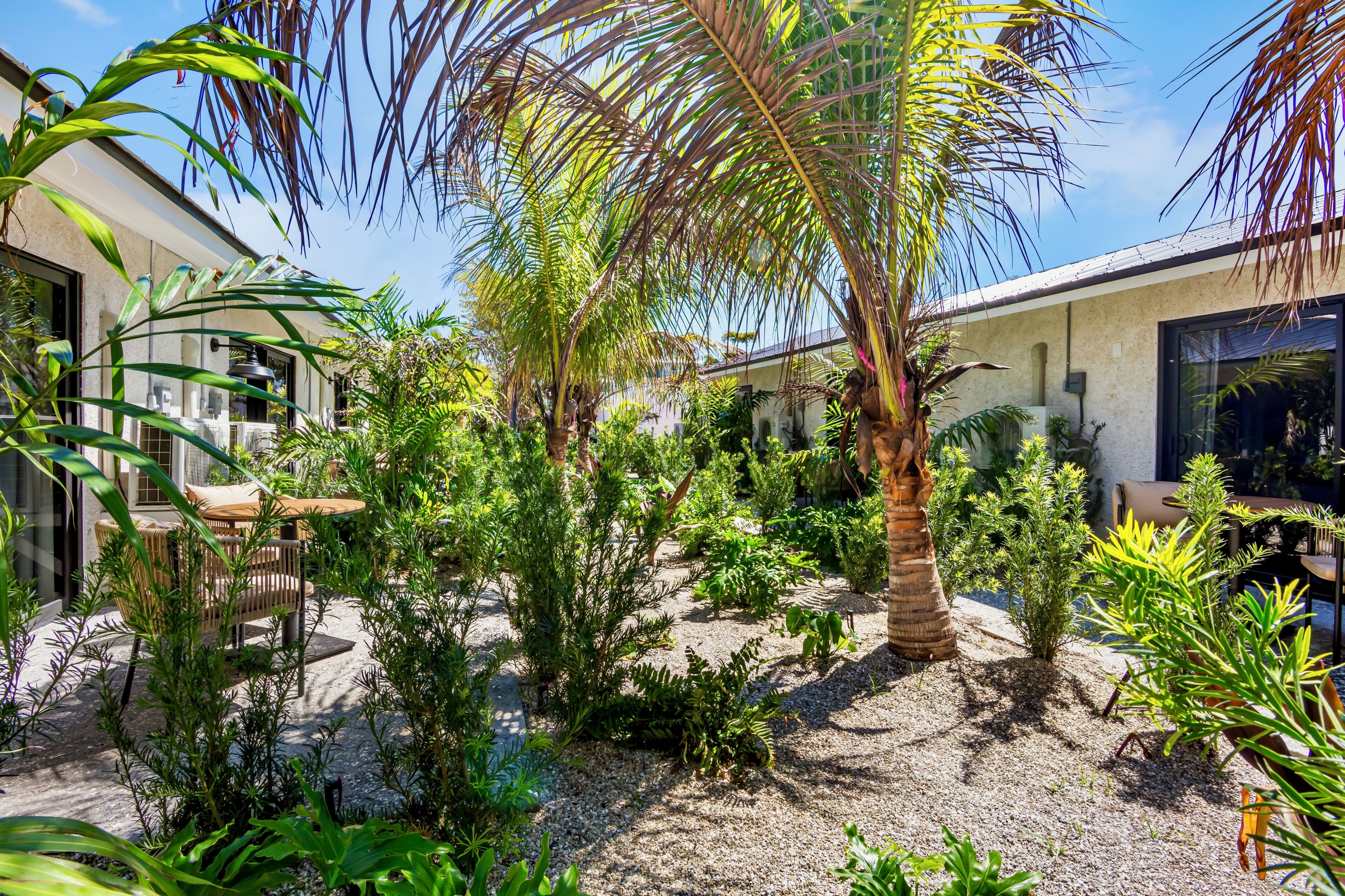 A well-maintained garden with various plants and a palm tree, surrounded by a building with large windows and outdoor seating.