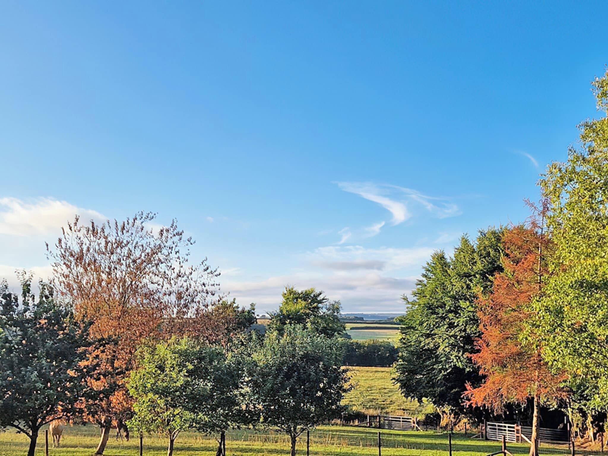 Paisatge rural amb arbres, una tanca i una vista llunyana de camps sota un cel serè.