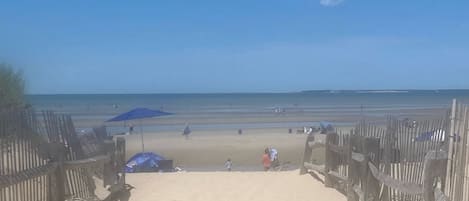 Plage à proximité, chaises longues, serviettes de plage