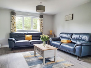 TV - Kingfisher Lodge - UK40017 (Halwill Junction, near Beaworthy)