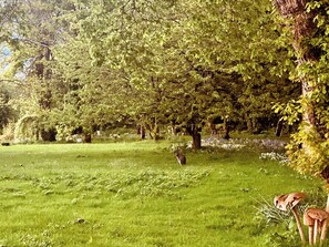 المنطقة المحيطة بالمنشأة