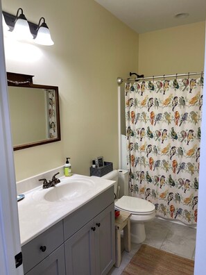 Combined shower/tub