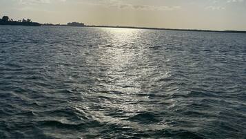 Sun loungers, beach towels