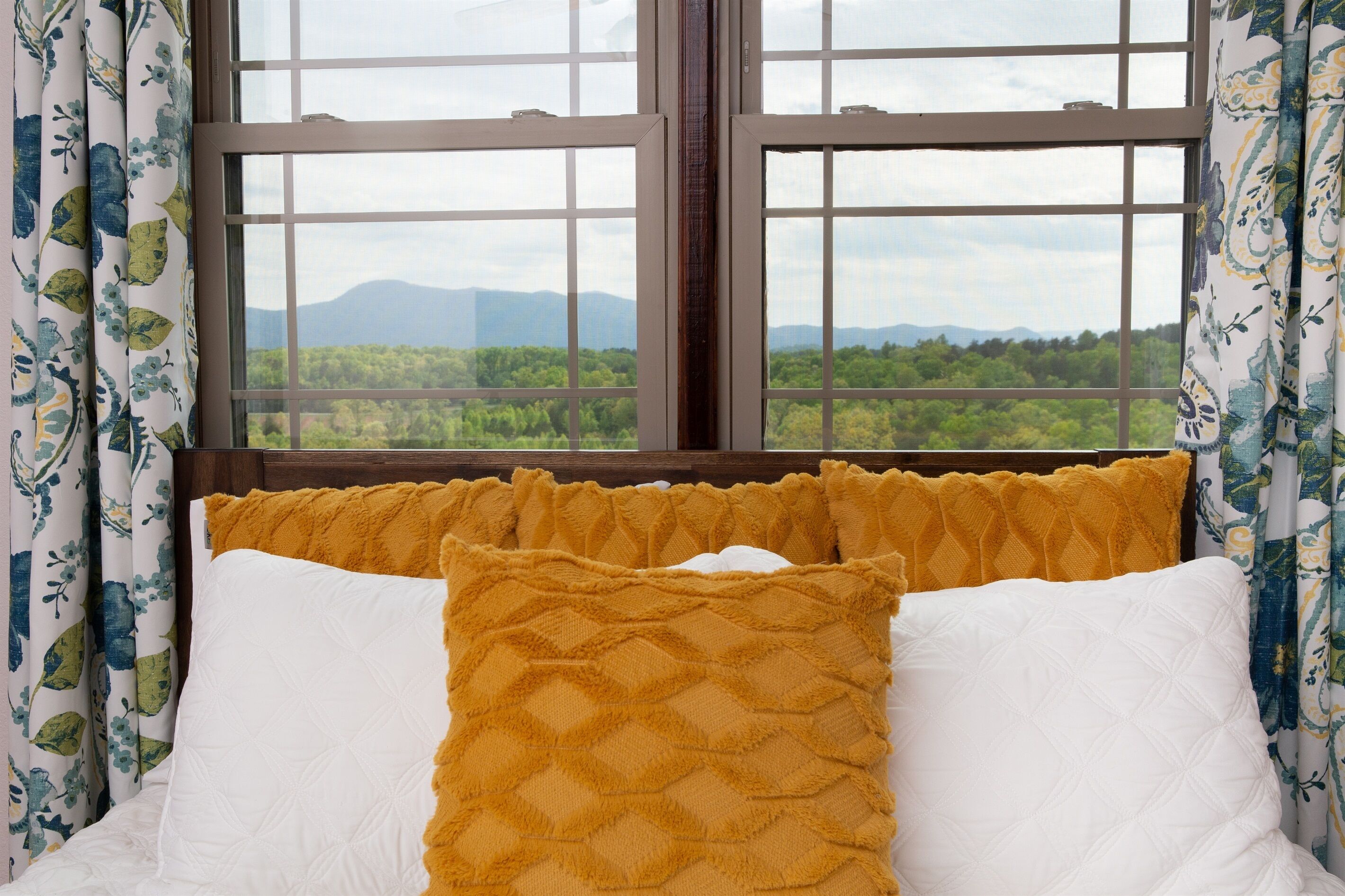Mountain Views