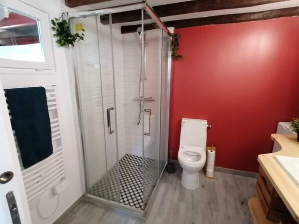 Un baño con ducha de mampara de vidrio, inodoro y lavamanos.