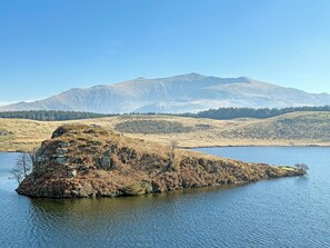 Photo non classée, 3 sur 8, bouton