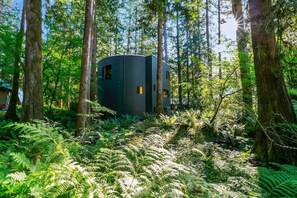 Una moderna baita dai toni scuri immersa in una fitta foresta, con felci e alberi alti.