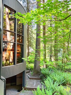 A modern building with large windows, surrounded by a forested area with ferns and trees.