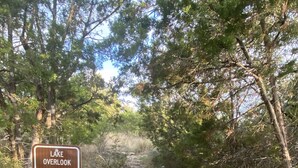 Wanderwegweiser für den Lake Overlook Mountain Dew Trailhead.