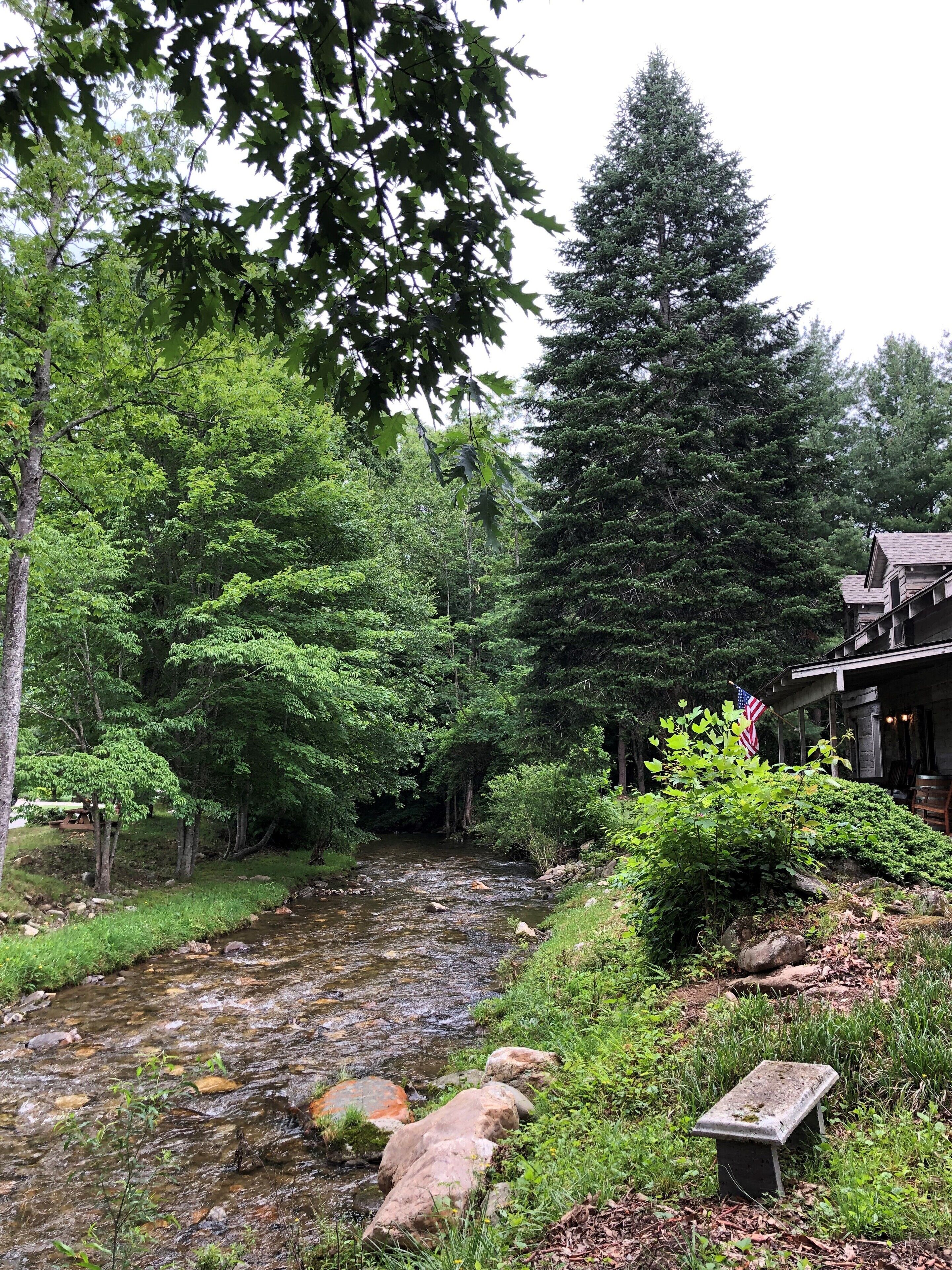 A serene riverside setting with a wooden cabin, lush greenery, and a small bench.