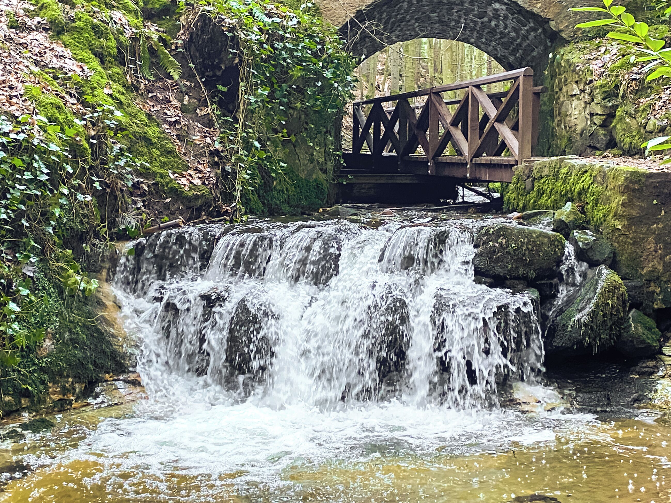 Ein Wasserfall mit einer Holzbrücke in einem bewaldeten Gebiet.