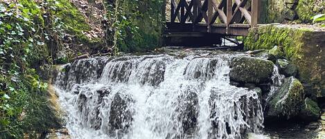 Ein Wasserfall mit einer Holzbrücke in einem bewaldeten Gebiet.